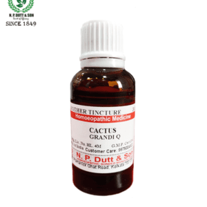 Cactus Grandiflorus Q