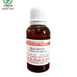 Crataegus Oxyacantha Q
