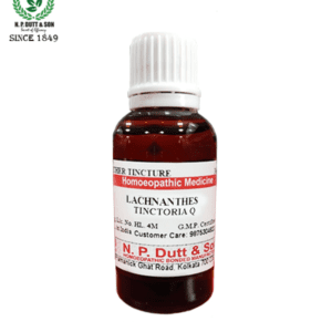 Lachnanthes Tinctoria Q