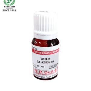RHUS GLABRA