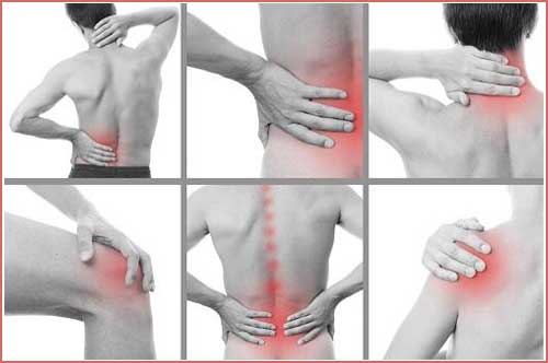 joint and muscular pain