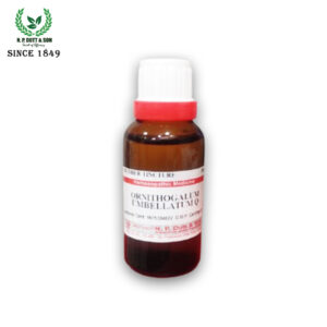 Ornithogalum Umbellatum Q